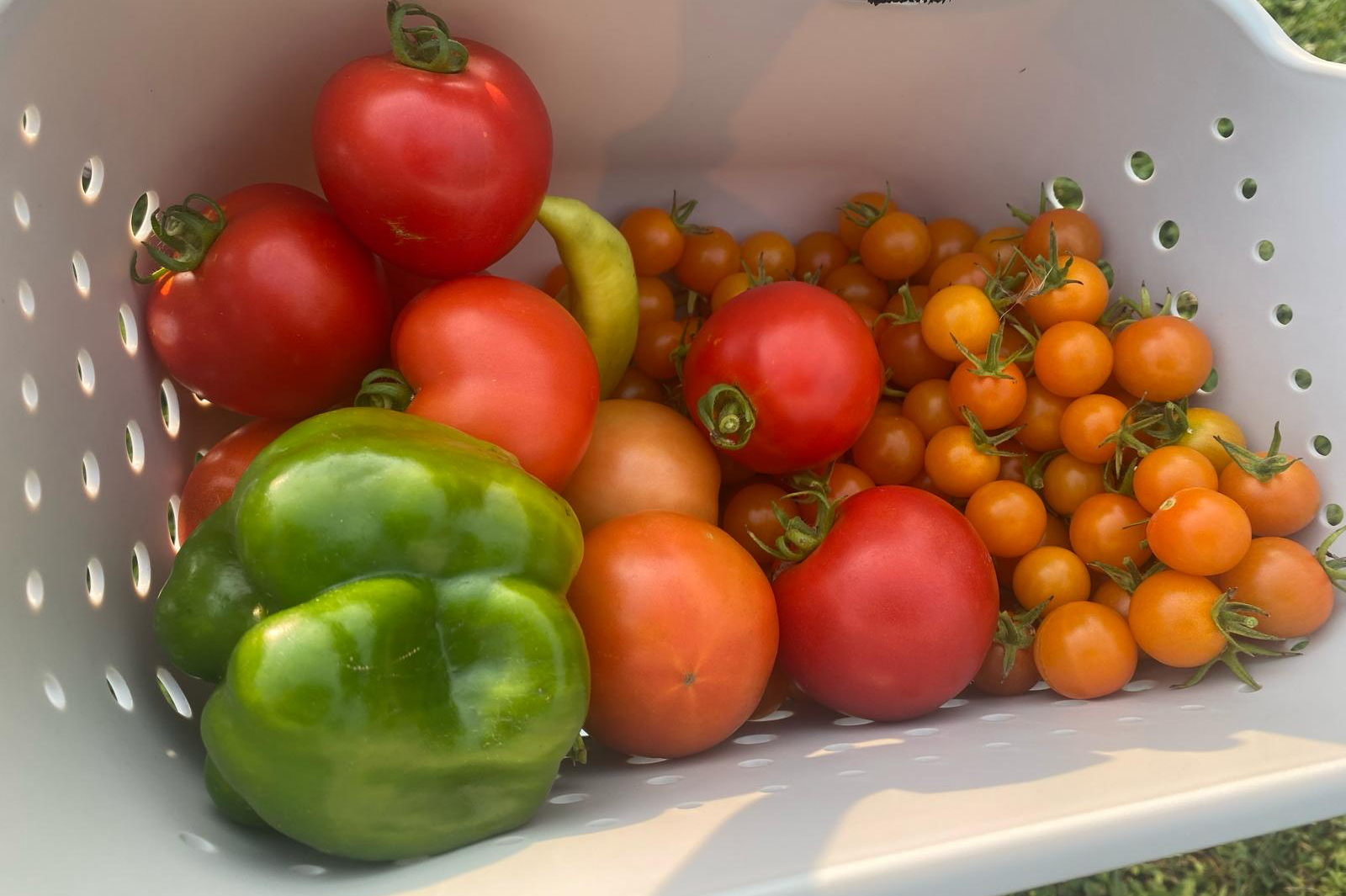 Homemade salsa made with natural ingredients
